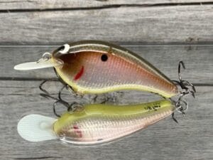 Black Label Balsa - Slim Signature Series Balsa Crankbait - Foiled Tomato Shad Color