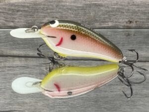 Black Label Balsa - Little Cliffie - Custom Balsa Crankbait - Tomato Shad Color