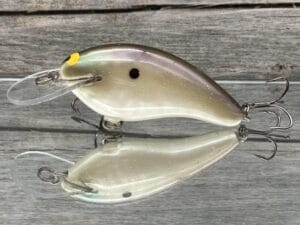Black Label Balsa - Razor - Balsa Crankbait - Bone Gizzard Color