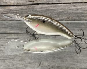 Black Label Balsa - Tapout - Custom Balsa Crankbait - Green Pumpkin Shad Color