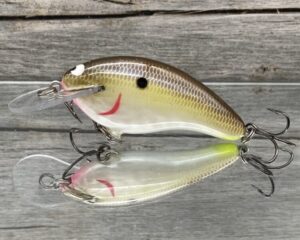 Black Label Balsa - Razor - Balsa Crankbait - Cliff's Secret Color