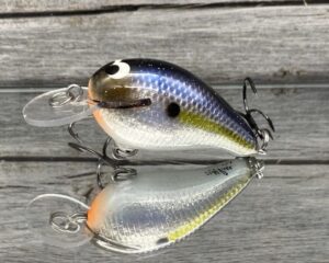 Black Label Balsa - Rumble-Signature Series - Balsa Crankbait - Foiled Threadfin Shad Color