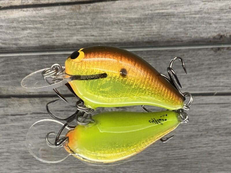 Black Label Balsa - Rumble-Signature Series - Balsa Crankbait - Burnt  Granny Color - Wood Bait Country