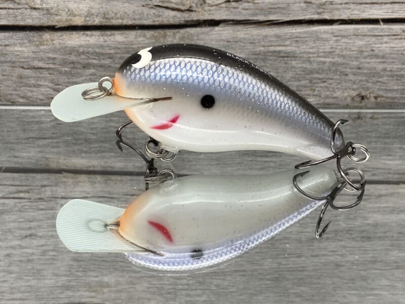 Black Label Balsa - Wobbler - Custom Balsa Crankbait - Electric Shad Color  - Wood Bait Country