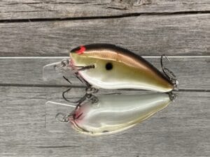 Black Label Balsa - BL 1.5 - Balsa Squarebill - Copper Green Shad Color