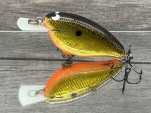 Black Label Balsa - Bacon-Signature Series - Balsa Crankbait - Gold Foil Orange Belly Color