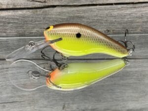 Black Label Balsa - K II - Custom Balsa Crankbait - River Bream Color