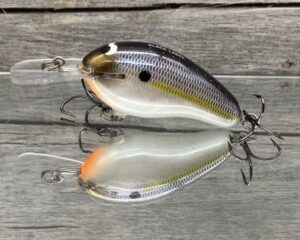 Black Label Balsa - Prowler MR - Custom Balsa Crankbait - Threadfin Shad Pearl Color