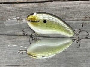 Black Label Balsa - Prowler MR - Custom Balsa Crankbait - Money Shad Color
