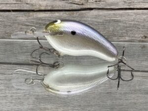 Black Label Balsa - Prowler MR - Custom Balsa Crankbait - American Shad Color