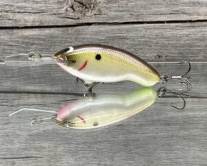 Black Label Balsa - Tapout Jr - Custom Balsa Crankbait - Cliff's Secret Color
