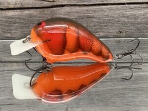 Black Label Balsa - CBS 2 - Custom Balsa Squarebill Crankbait - Crush Craw Color- Bagley B2