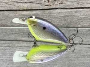 Black Label Balsa - Bacon-Signature Series - Balsa Crankbait - Foiled American Shad Chartreuse Belly Color