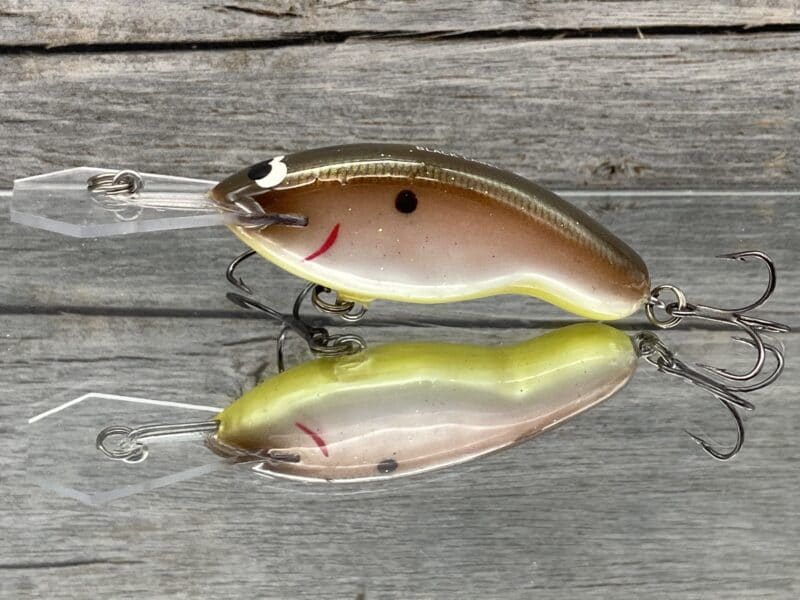 Black Label Balsa - Tapout Jr - Custom Balsa Crankbait - Tomato Shad Color  - Wood Bait Country