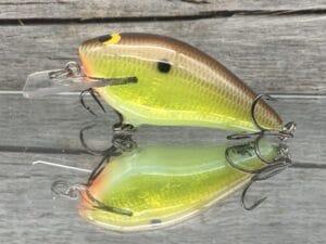 Black Label Balsa - BL 1.5 - Signature Series - Foiled River Bream Color