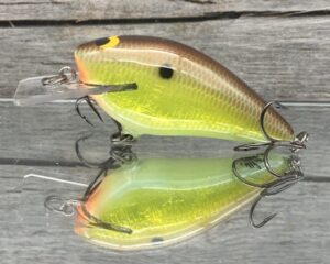 Black Label Balsa - BL 1.5 - Signature Series - Foiled River Bream Color