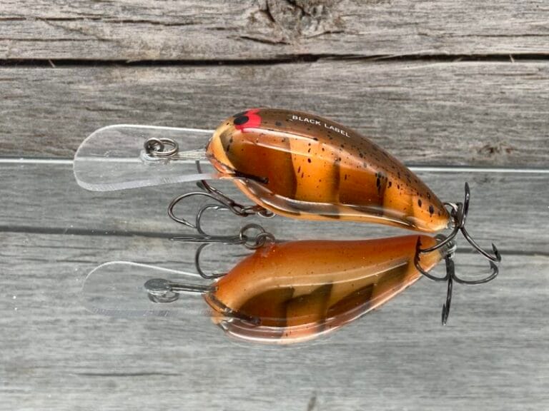 Fall Craw Color Black Label Balsa - Rock Hound - Custom Balsa Crankbait - Fall Craw ...