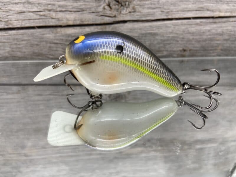 Black Label Balsa - CBS 2 - Custom Balsa Squarebill Crankbait - Magic Shad  Color - Bagley B2 - Wood Bait Country