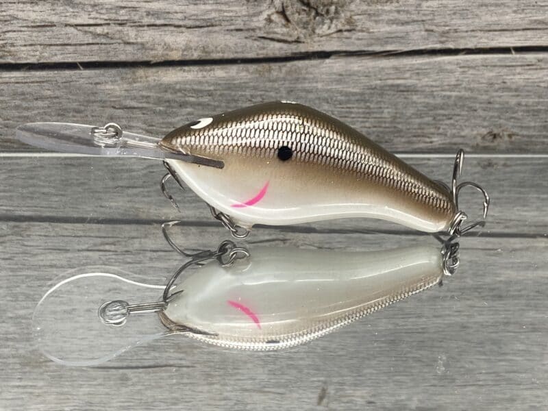 Black Label Balsa - 300 Proof - Custom Balsa Crankbait - Green Pumpkin Shad  Color - Wood Bait Country