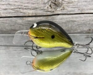 Black Label Balsa - Wreck Signature Series Crankbait - Gold Foil Color - Zoom WEC E-1