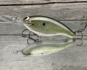 Black Label Balsa - Tapout - Signature Series Custom Balsa Crankbait - Foiled Money Shad Color