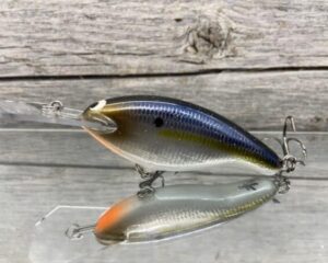 Black Label Balsa - Tapout - Signature Series Custom Balsa Crankbait - Foiled Threadfin Shad Color