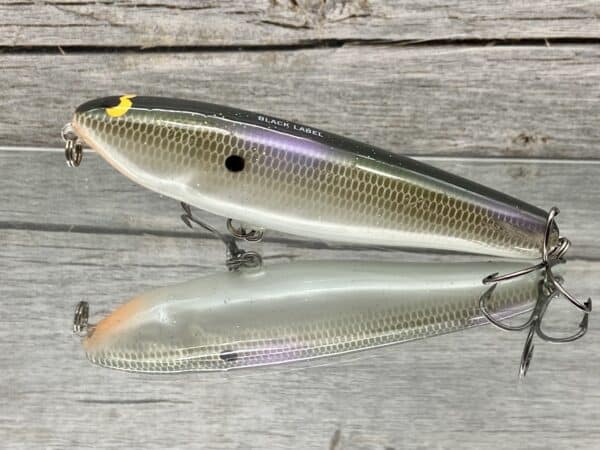 Top Water DAWGER Fishing Lure 4 Inch Custom Paint 