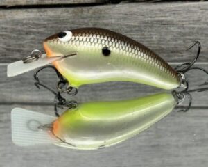 Black Label Balsa - Speedy - Hybrid Squarebill Crankbait - Slick Color