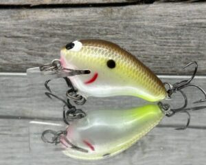 Black Label Balsa - Runt- Custom Balsa Crankbait - Cliff's Secret Color