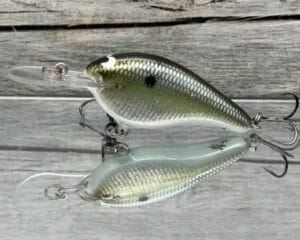 Black Label Balsa - Shiver 7 Signature Series - Custom Balsa Crankbait - Foiled Money Shad Color
