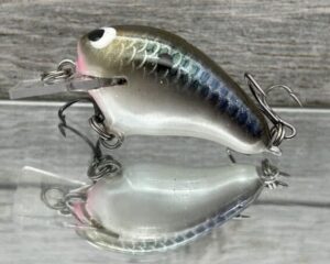 Black Label Balsa - Runt- Custom Balsa Crankbait - Bad Shad Color