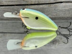 Black Label Balsa - Bacon MR - Balsa Crankbait - Citrus Candy Color