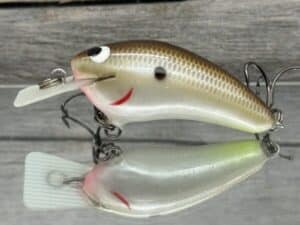 Black Label Balsa - Speedy - Hybrid Squarebill Crankbait - Cliff's Secret Color