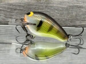 Black Label Balsa - Runt- Custom Balsa Crankbait - Bold Bluegill Color