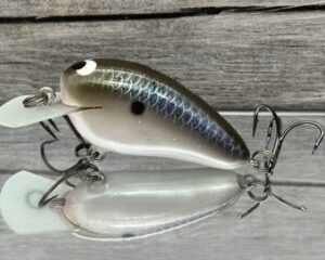 Black Label Balsa - Rattling Peanut - Balsa Crankbait - Bad Shad Color