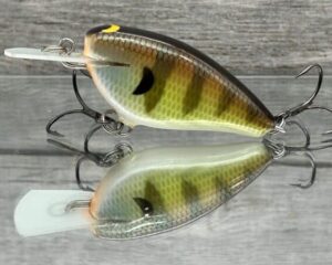 Black Label Balsa - Bacon MR - Balsa Crankbait - Bold Bluegill Color