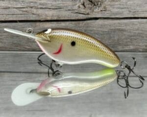 Black Label Balsa - The .38 - Balsa Crankbait - Cliff's Secret Color