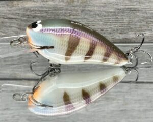 Black Label Balsa - BL 1.5 - Balsa Squarebill - JB's Gill Color