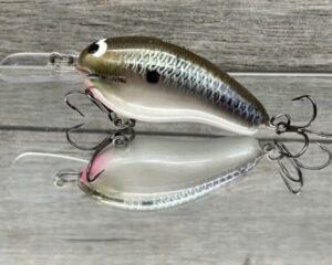 Black Label Balsa - Prowler MR - Custom Balsa Crankbait - Bad Shad Color