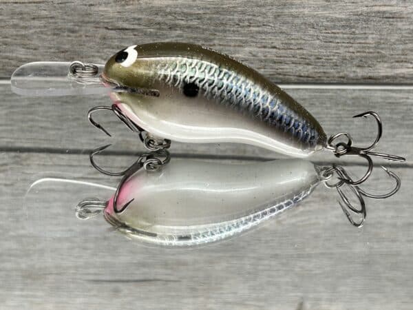 Black Label Balsa - Prowler MR - Custom Balsa Crankbait - Bad Shad Color -  Wood Bait Country