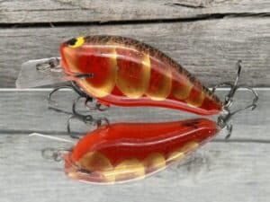 Black Label Balsa - BL 1.5 - Signature Series - Texas Gold Color - RC 1.5