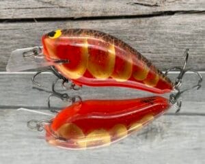 Black Label Balsa - BL 1.5 - Signature Series - Texas Gold Color - RC 1.5