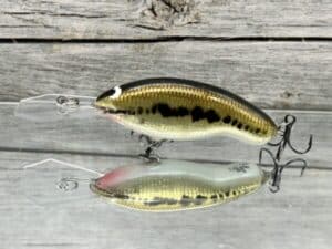 Black Label Balsa - Tapout Jr - Signature Series Custom Balsa Crankbait - Foiled Baby Bass Color