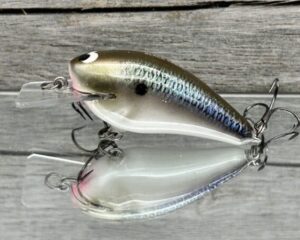 Black Label Balsa - BL 1.5 - Balsa Squarebill - Bad Shad Color