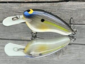 Black Label Balsa - Hickster MR- Balsa Crankbait - Magic Shad Color