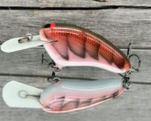 Black Label Balsa - Hickster MR- Balsa Crankbait - Sissy Craw Color