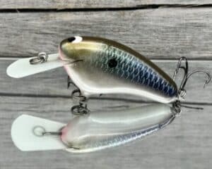 Black Label Balsa - Hickster MR- Balsa Crankbait - Bad Shad Color