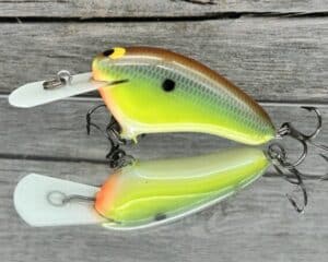Black Label Balsa - Hickster MR- Balsa Crankbait - River Bream Color