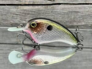 The Lure Forge - Flatside Mini - Balsa Crankbait - Clear Water Shad Color -  Wood Bait Country