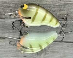 Black Label Balsa - Runt- Custom Balsa Crankbait - Faded Perch Color